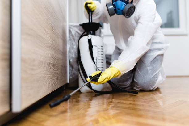 Best Best Pest Control Companies  in South Vacherie, LA