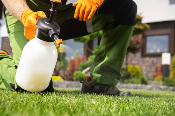 Best Local Pest Control Services  in South Vacherie, LA