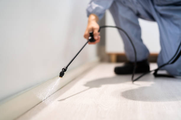 Best Affordable Pest Control Services  in South Vacherie, LA