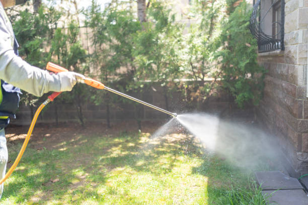 Best Pest Control for Restaurants  in South Vacherie, LA