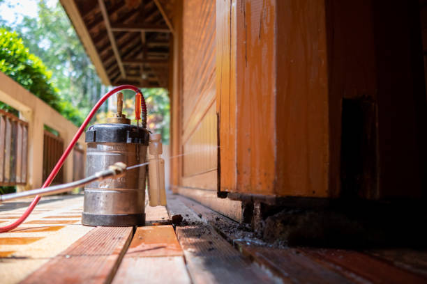 Best Pest Control Treatment  in South Vacherie, LA