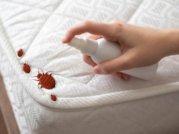 Trusted South Vacherie, LA Pest Control Experts