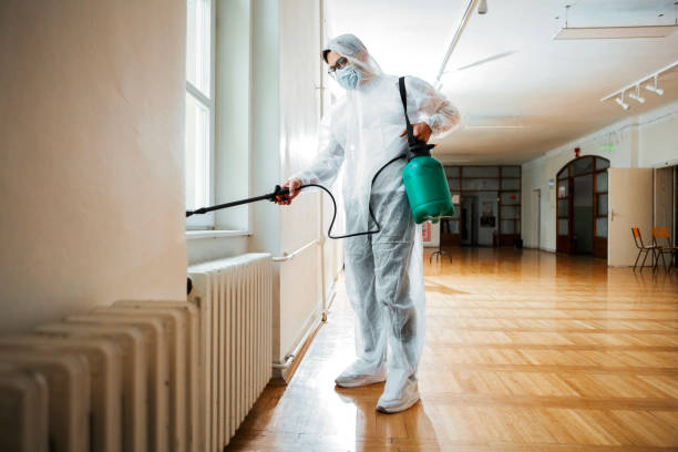 Best Cockroach Control Services  in South Vacherie, LA